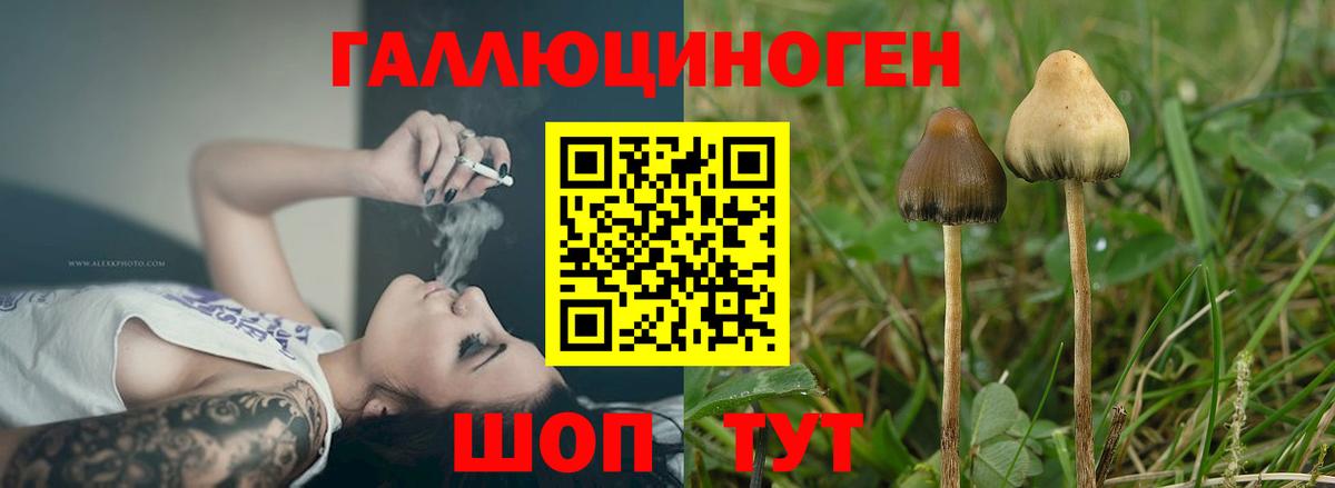 Галлюциногенные грибы GOLDEN TEACHER Похвистнево